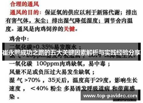 崔永熙成功之路的五大关键因素解析与实践经验分享