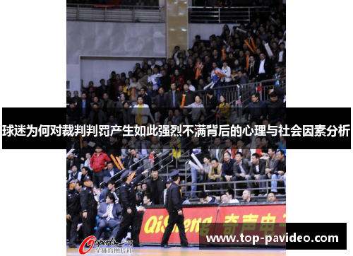 球迷为何对裁判判罚产生如此强烈不满背后的心理与社会因素分析