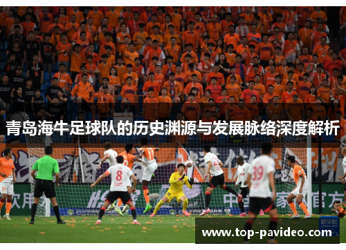 青岛海牛足球队的历史渊源与发展脉络深度解析