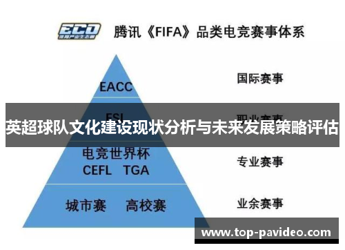 英超球队文化建设现状分析与未来发展策略评估